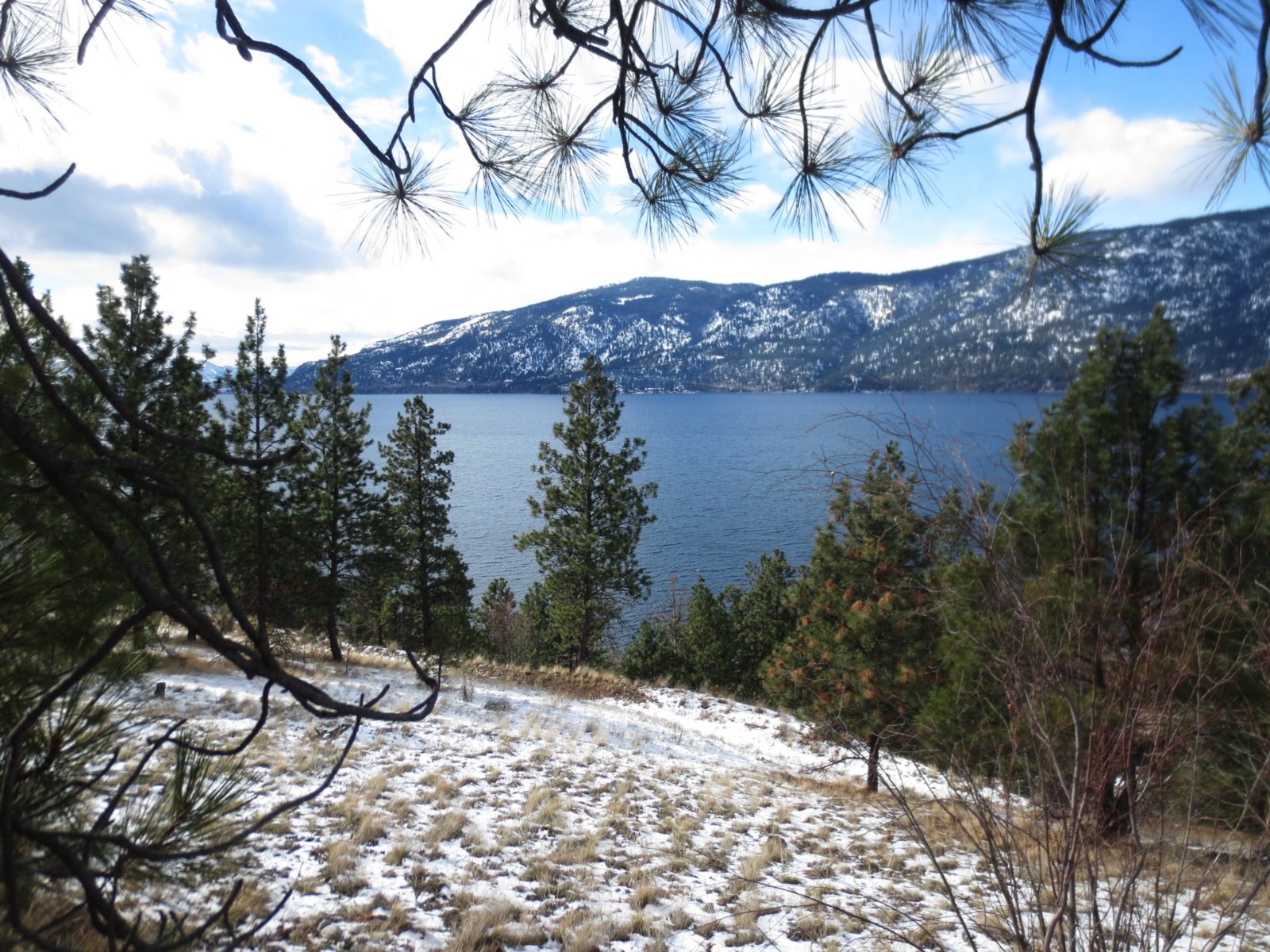Okanagan Lake on a late winter morning, the valley bare of deep snow and the lake unfrozen